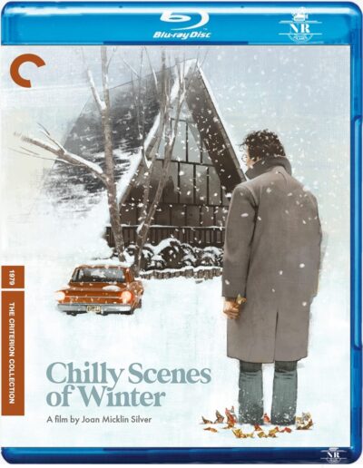 Chilly Scenes of Winter (1979) Blu-ray Legendado