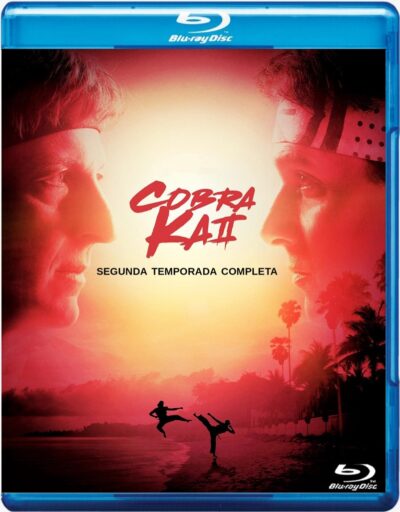 Cobra Kai 2° Temporada Blu Ray Dublado Legendado