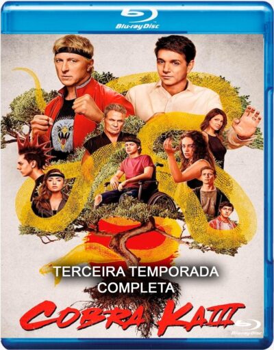 Cobra Kai 3° Temporada Blu Ray Dublado Legendado