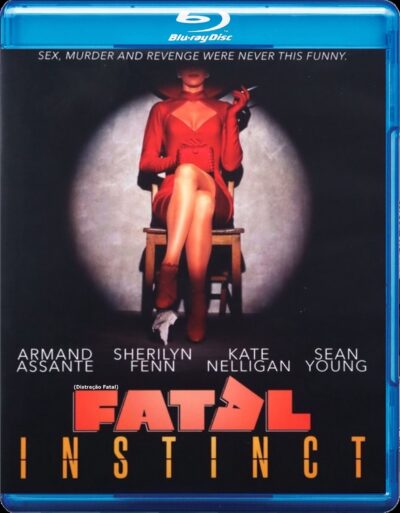 Distração Fatal (1993) Blu Ray Dublado Legendado