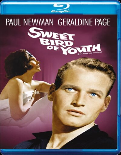 Doce Pássaro da Juventude (1962) Blu Ray Dublado Legendado