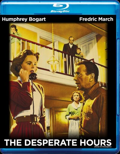 Horas de Desespero (1955) Blu Ray Dublado Legendado