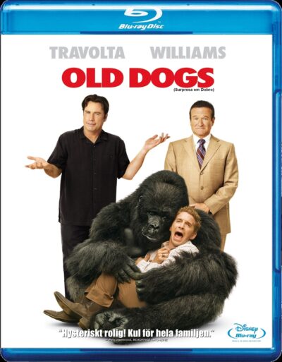 Surpresa em Dobro (2009) Blu Ray Dublado Legendado